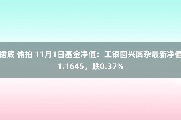 裙底 偷拍 11月1日基金净值：工银圆兴羼杂最新净值1.1645，跌0.37%