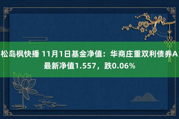 松岛枫快播 11月1日基金净值：华商庄重双利债券A最新净值1.557，跌0.06%