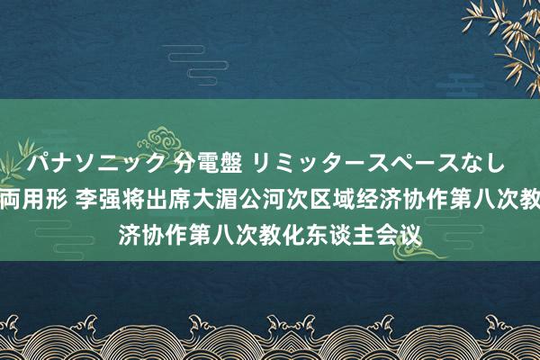 パナソニック 分電盤 リミッタースペースなし 露出・半埋込両用形 李强将出席大湄公河次区域经济协作第八次教化东谈主会议