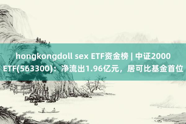 hongkongdoll sex ETF资金榜 | 中证2000ETF(563300)：净流出1.96亿元，居可比基金首位