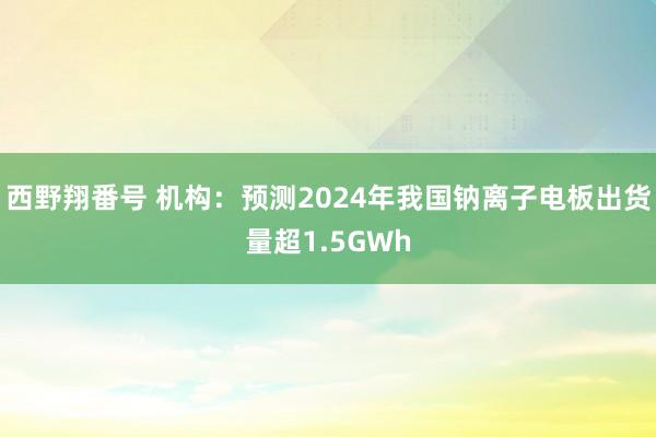 西野翔番号 机构：预测2024年我国钠离子电板出货量超1.5GWh