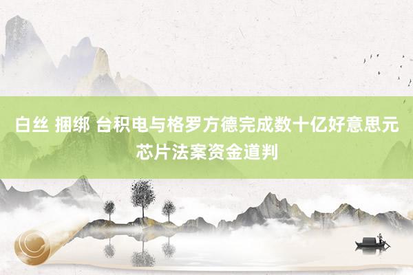 白丝 捆绑 台积电与格罗方德完成数十亿好意思元芯片法案资金道判