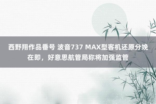 西野翔作品番号 波音737 MAX型客机还原分娩在即，好意思航管局称将加强监管