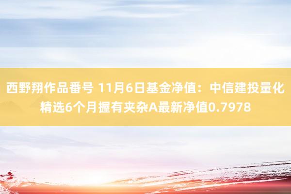 西野翔作品番号 11月6日基金净值：中信建投量化精选6个月握有夹杂A最新净值0.7978