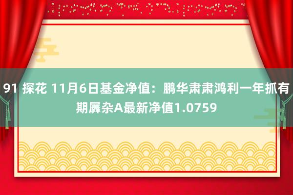 91 探花 11月6日基金净值：鹏华肃肃鸿利一年抓有期羼杂A最新净值1.0759