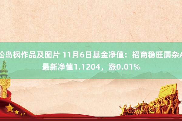 松岛枫作品及图片 11月6日基金净值：招商稳旺羼杂A最新净值1.1204，涨0.01%