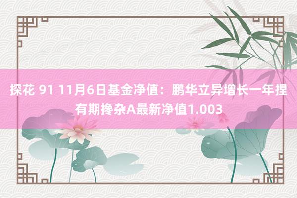 探花 91 11月6日基金净值：鹏华立异增长一年捏有期搀杂A最新净值1.003