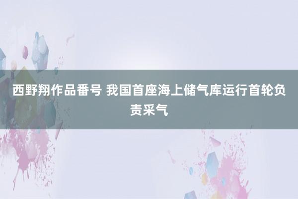 西野翔作品番号 我国首座海上储气库运行首轮负责采气