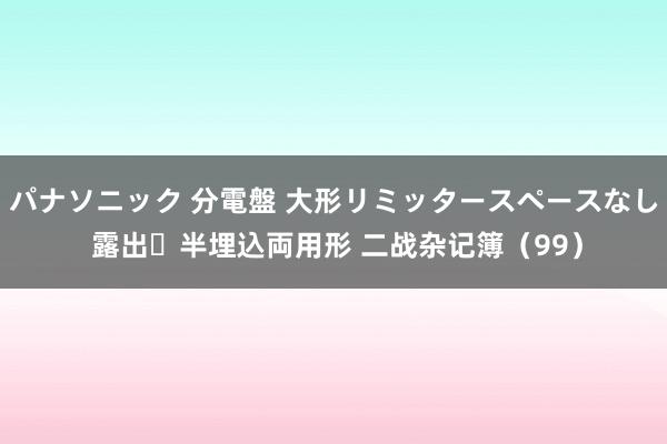 パナソニック 分電盤 大形リミッタースペースなし 露出・半埋込両用形 二战杂记簿（99）