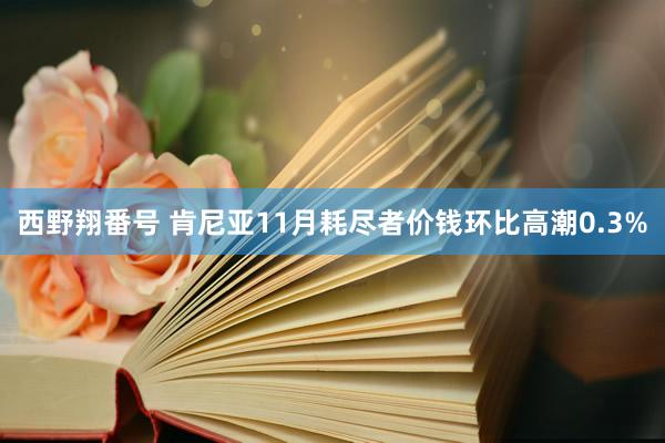 西野翔番号 肯尼亚11月耗尽者价钱环比高潮0.3%