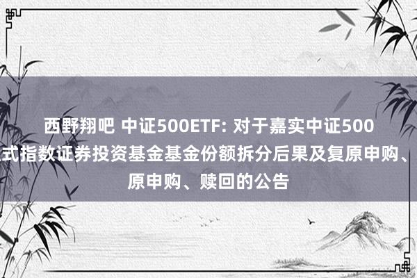 西野翔吧 中证500ETF: 对于嘉实中证500交往型灵通式指数证券投资基金基金份额拆分后果及复原申购、赎回的公告