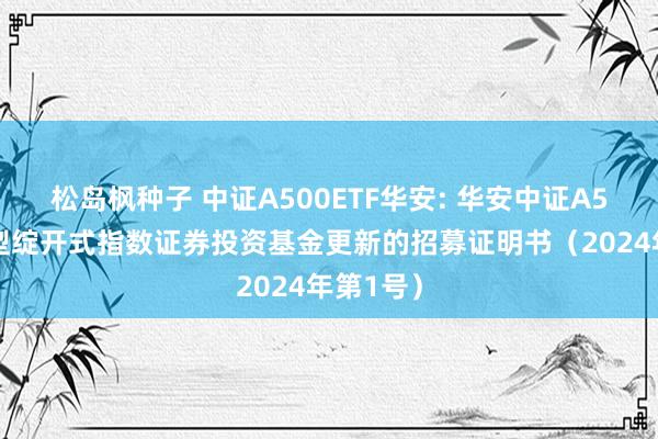 松岛枫种子 中证A500ETF华安: 华安中证A500往来型绽开式指数证券投资基金更新的招募证明书（2024年第1号）