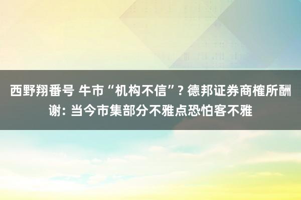 西野翔番号 牛市“机构不信”? 德邦证券商榷所酬谢: 当今市集部分不雅点恐怕客不雅