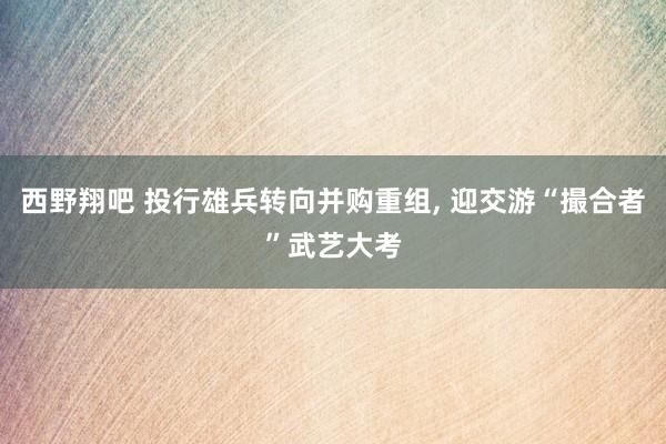 西野翔吧 投行雄兵转向并购重组， 迎交游“撮合者”武艺大考