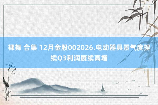 裸舞 合集 12月金股002026.电动器具景气度捏续Q3利润赓续高增