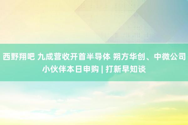 西野翔吧 九成营收开首半导体 朔方华创、中微公司小伙伴本日申购 | 打新早知谈