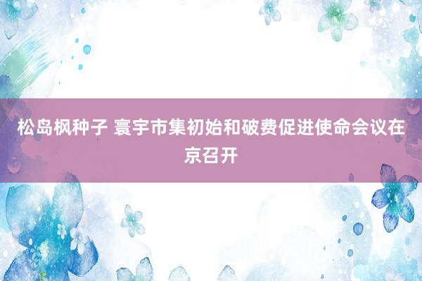 松岛枫种子 寰宇市集初始和破费促进使命会议在京召开