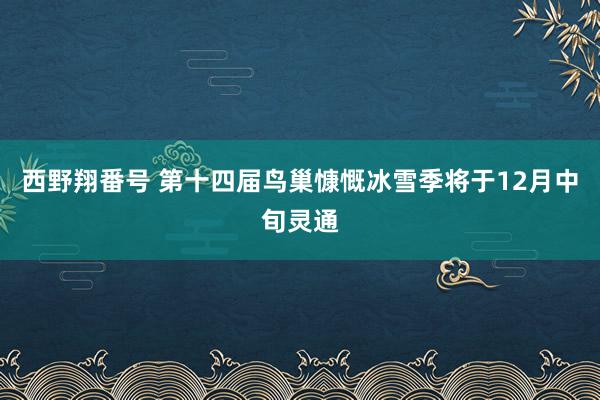 西野翔番号 第十四届鸟巢慷慨冰雪季将于12月中旬灵通