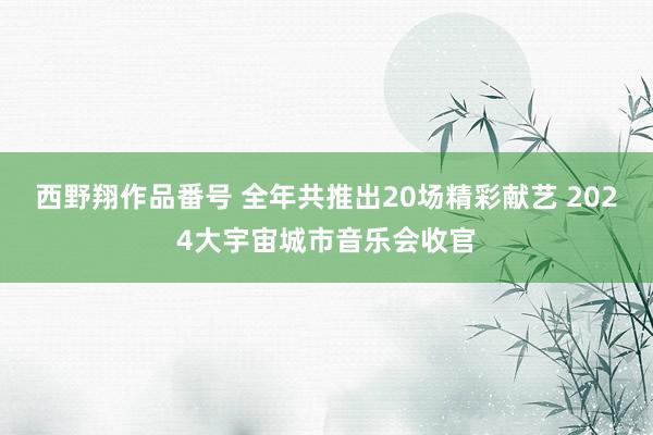 西野翔作品番号 全年共推出20场精彩献艺 2024大宇宙城市音乐会收官