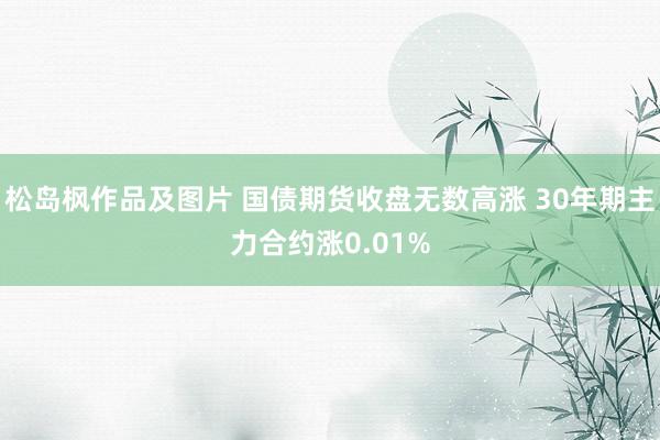 松岛枫作品及图片 国债期货收盘无数高涨 30年期主力合约涨0.01%