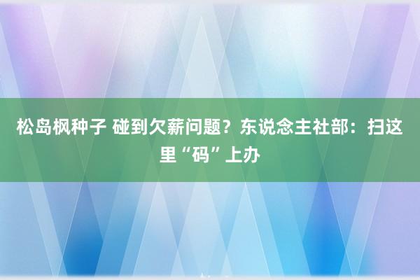 松岛枫种子 碰到欠薪问题？东说念主社部：扫这里“码”上办