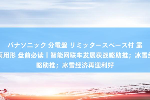 パナソニック 分電盤 リミッタースペース付 露出・半埋込両用形 盘前必读丨智能网联车发展获战略助推；冰雪经济再迎利好