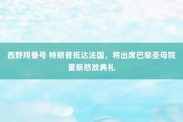 西野翔番号 特朗普抵达法国，将出席巴黎圣母院重新怒放典礼