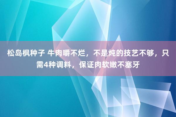 松岛枫种子 牛肉嚼不烂，不是炖的技艺不够，只需4种调料，保证肉软嫩不塞牙