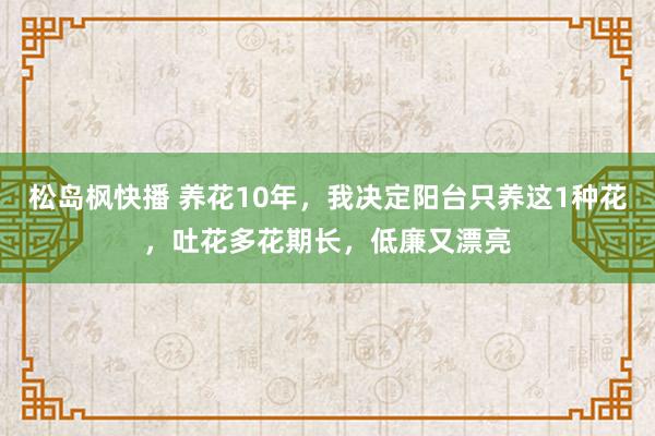 松岛枫快播 养花10年，我决定阳台只养这1种花，吐花多花期长，低廉又漂亮