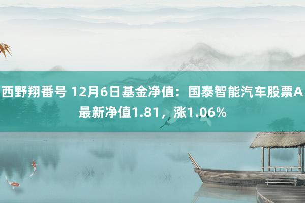 西野翔番号 12月6日基金净值：国泰智能汽车股票A最新净值1.81，涨1.06%