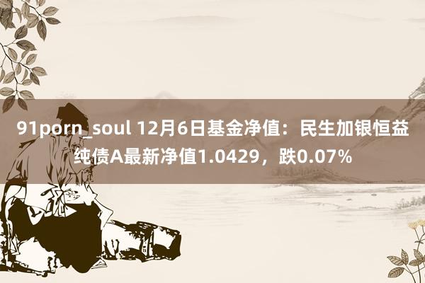 91porn_soul 12月6日基金净值：民生加银恒益纯债A最新净值1.0429，跌0.07%