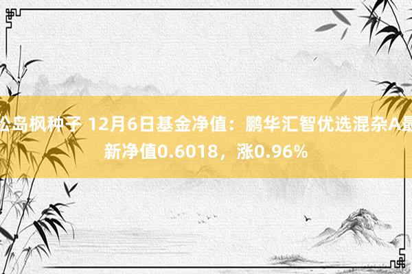 松岛枫种子 12月6日基金净值：鹏华汇智优选混杂A最新净值0.6018，涨0.96%