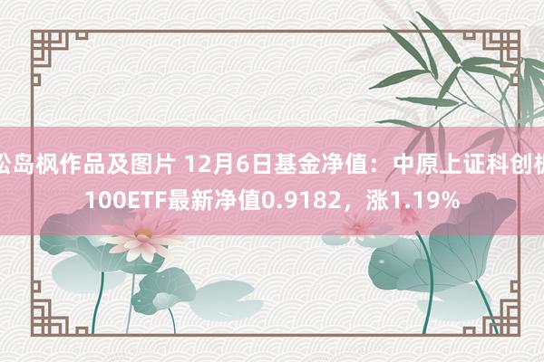 松岛枫作品及图片 12月6日基金净值：中原上证科创板100ETF最新净值0.9182，涨1.19%