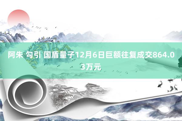 阿朱 勾引 国盾量子12月6日巨额往复成交864.03万元