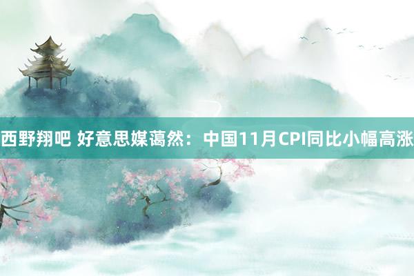 西野翔吧 好意思媒蔼然：中国11月CPI同比小幅高涨