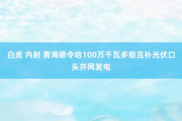 白虎 内射 青海德令哈100万千瓦多能互补光伏口头并网发电