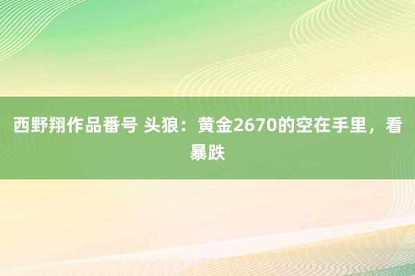 西野翔作品番号 头狼：黄金2670的空在手里，看暴跌