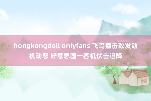 hongkongdoll onlyfans 飞鸟撞击致发动机动怒 好意思国一客机伏击迫降