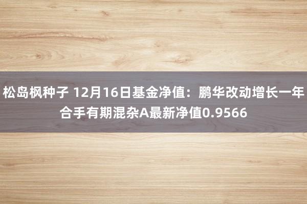 松岛枫种子 12月16日基金净值：鹏华改动增长一年合手有期混杂A最新净值0.9566