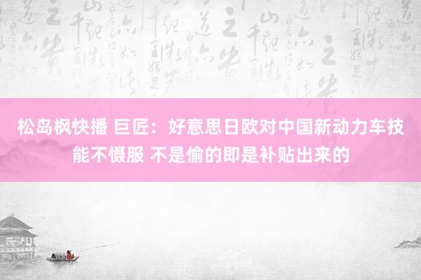 松岛枫快播 巨匠：好意思日欧对中国新动力车技能不慑服 不是偷的即是补贴出来的