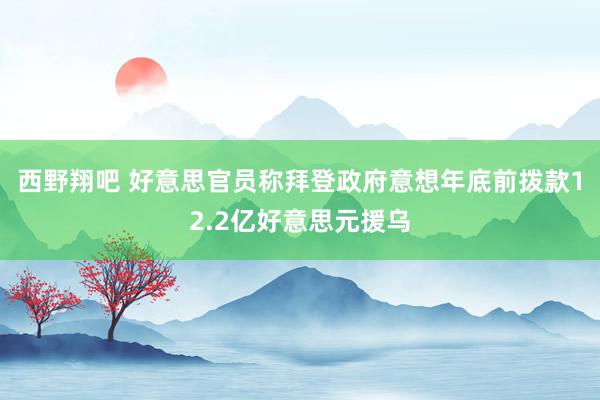 西野翔吧 好意思官员称拜登政府意想年底前拨款12.2亿好意思元援乌