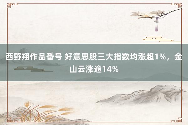 西野翔作品番号 好意思股三大指数均涨超1%，金山云涨逾14%