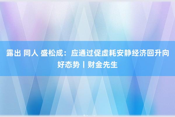 露出 同人 盛松成：应通过促虚耗安静经济回升向好态势丨财金先生