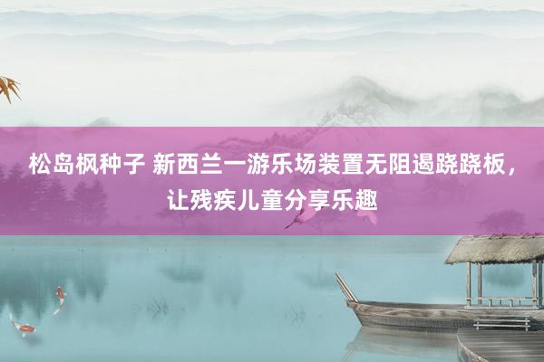 松岛枫种子 新西兰一游乐场装置无阻遏跷跷板，让残疾儿童分享乐趣