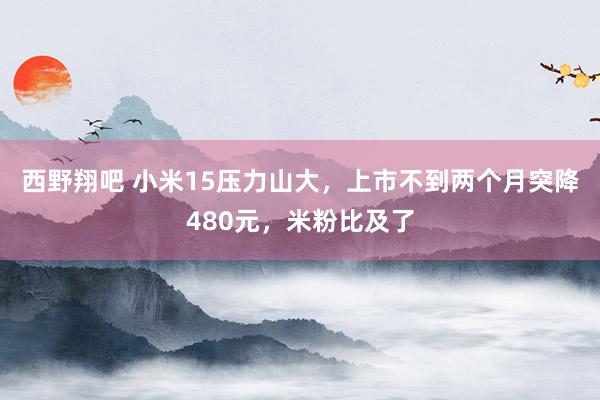 西野翔吧 小米15压力山大，上市不到两个月突降480元，米粉比及了