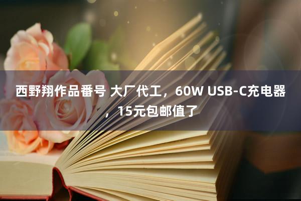 西野翔作品番号 大厂代工，60W USB-C充电器，15元包邮值了