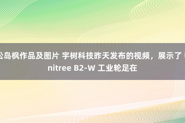 松岛枫作品及图片 宇树科技昨天发布的视频，展示了 Unitree B2-W 工业轮足在