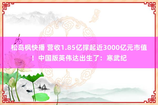 松岛枫快播 营收1.85亿撑起近3000亿元市值！中国版英伟达出生了：寒武纪