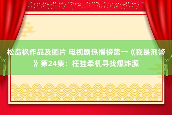 松岛枫作品及图片 电视剧热播榜第一《我是刑警》第24集：枉挂牵机寻找爆炸源