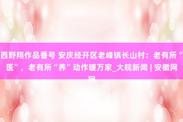 西野翔作品番号 安庆经开区老峰镇长山村：老有所“医”，老有所“养”动作暖万家_大皖新闻 | 安徽网